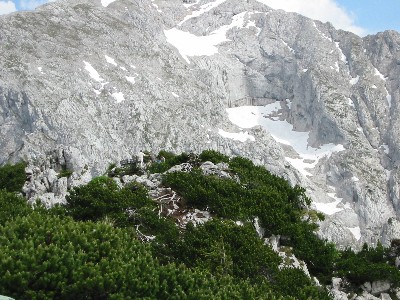 copyright Esa Virolainen